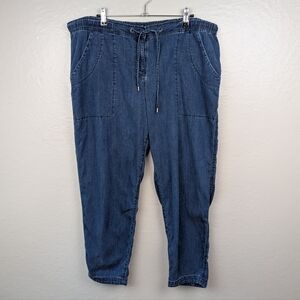 Eileen Fisher Tencel Organic Cotton Denim Pant XL